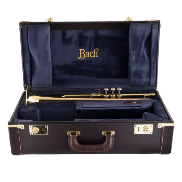 Bach Select etui