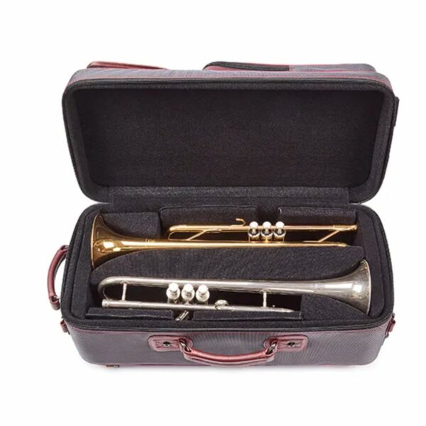 GARD 4-EHSG-C ELITE ETUI FOR TO TROMPETER - GLASSFIBER - Bilde 8